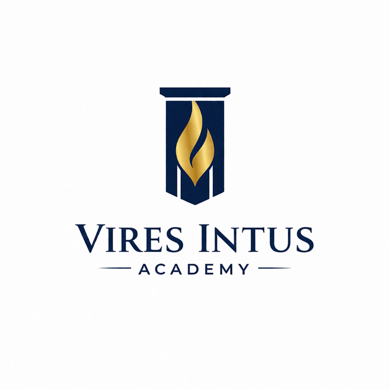 Vires Intus Academy logo